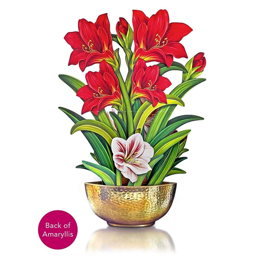 Scarlet Amaryllis Paper Flower Bouquet - A Taste of Kentucky