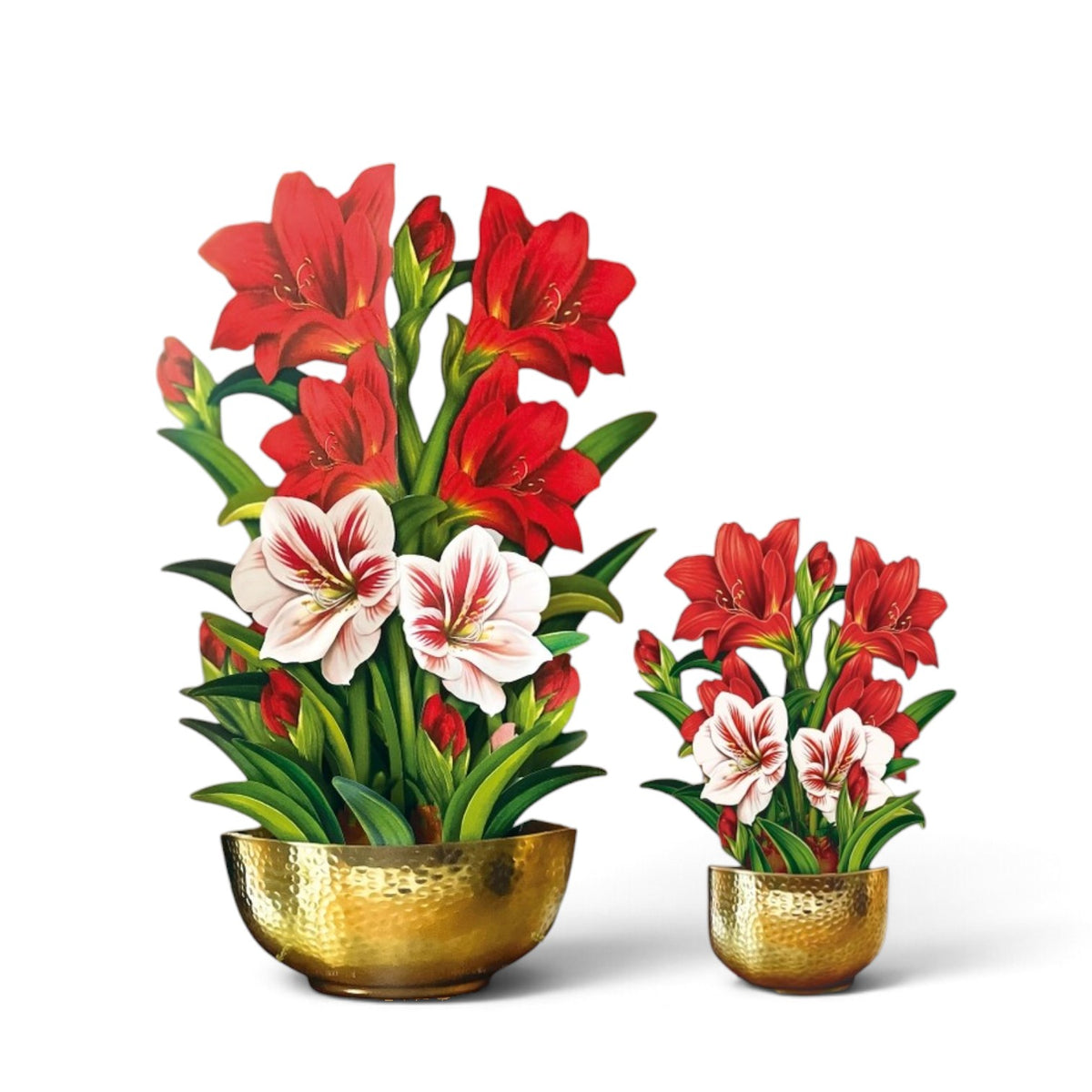 Scarlet Amaryllis Paper Flower Bouquet Greeting Card - A Taste of Kentucky