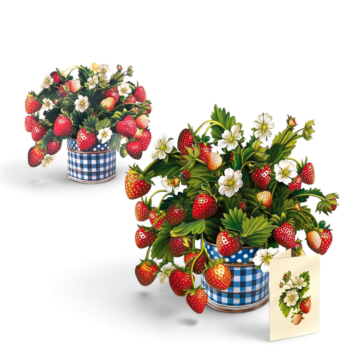 Strawberry Blossom Pop-Up Bouquet – 3D Paper Flowers Gift - A Taste of Kentucky