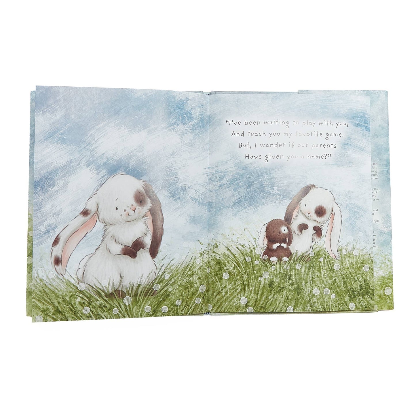 A Taste of Kentucky "Who Will Our New Baby Be?" story book illustration of two bunnies in a grassy field with text.