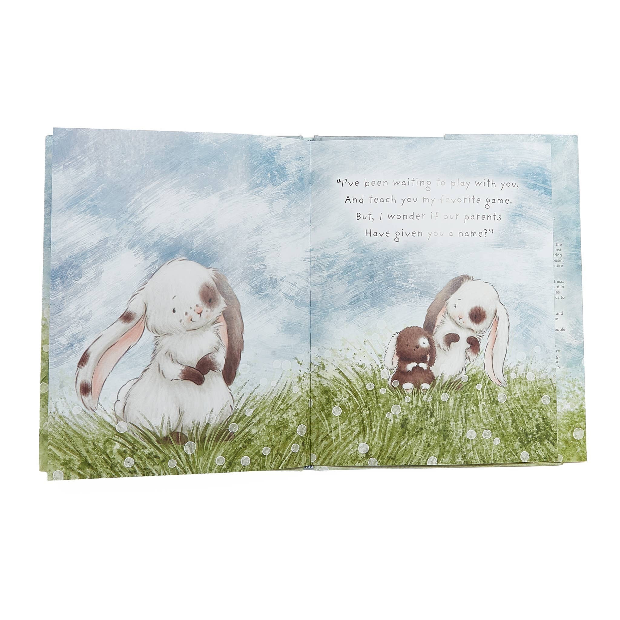 A Taste of Kentucky "Who Will Our New Baby Be?" story book illustration of two bunnies in a grassy field with text.