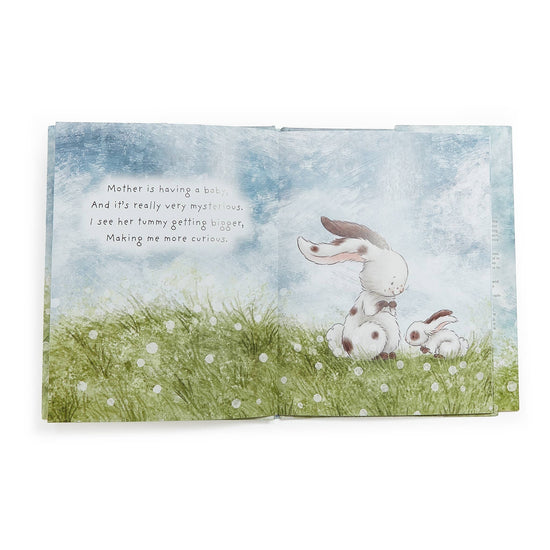 A Taste of Kentucky "Who Will Our New Baby Be?" story book for ages 0-3, featuring watercolor illustrations of bunnies in a grassy field.