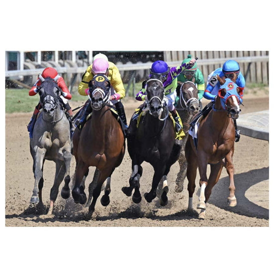 Turf Turn by Dan Dry - A Taste of Kentucky