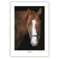 Race Horse Triple Crown Winner Justify Picture Pedigree Chart Collectible