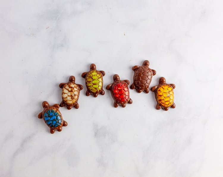 Ghyslain’s Turtle Mosaique