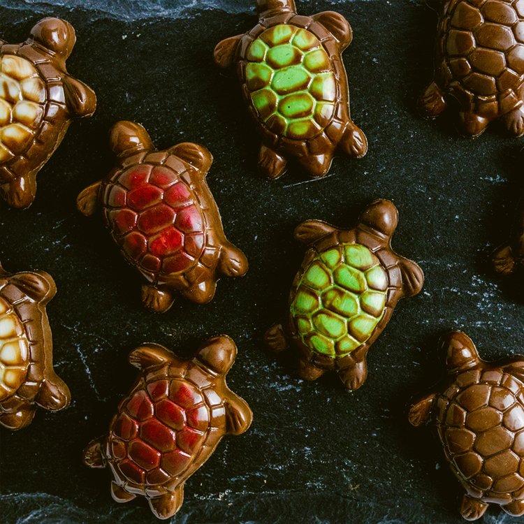 Ghyslain’s Turtle Mosaique